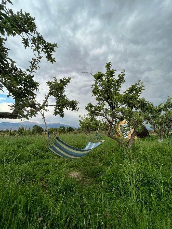 Bosogo Yurt Camp 호텔 Bokonbayevo 외부 사진